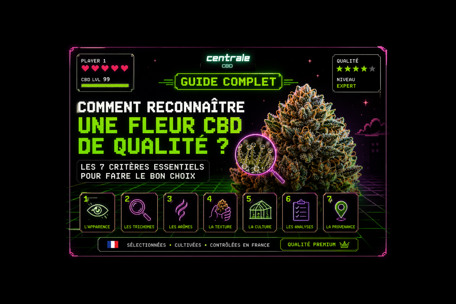 Comment reconnaître une fleur CBD de qualité ? Le guide complet
