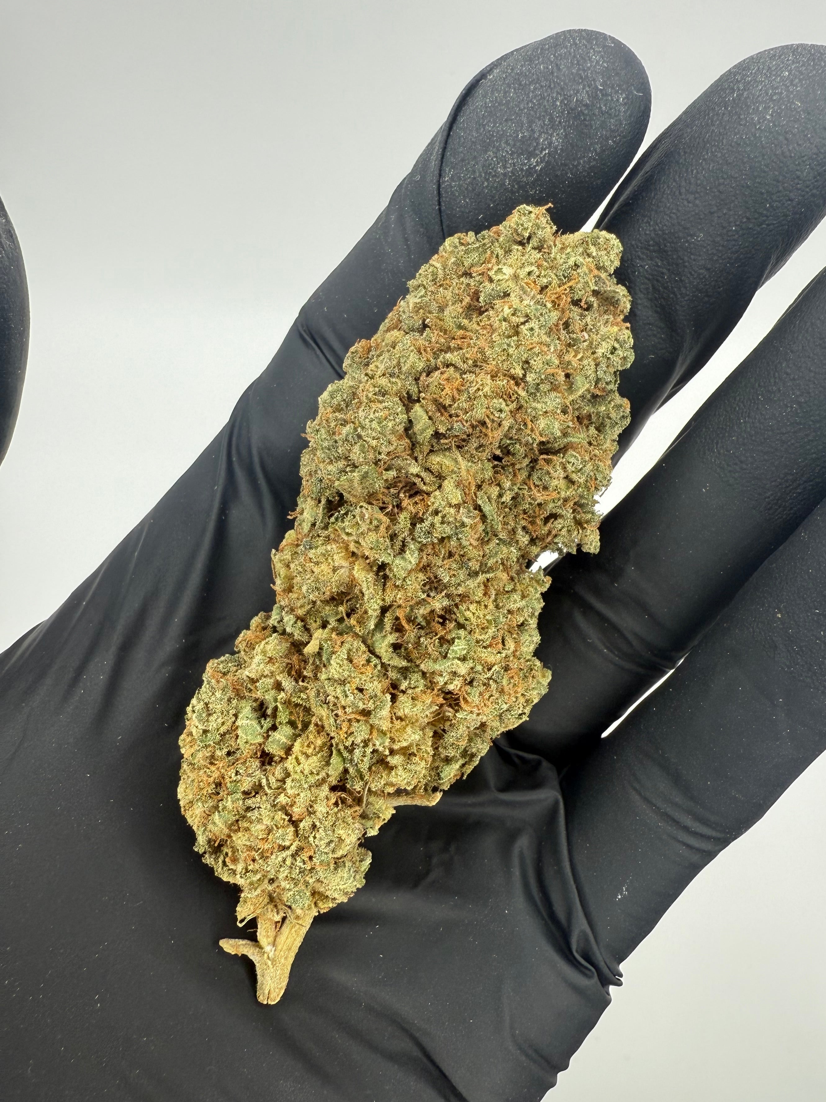 PINEAPPLE LEMONADE - INDOOR