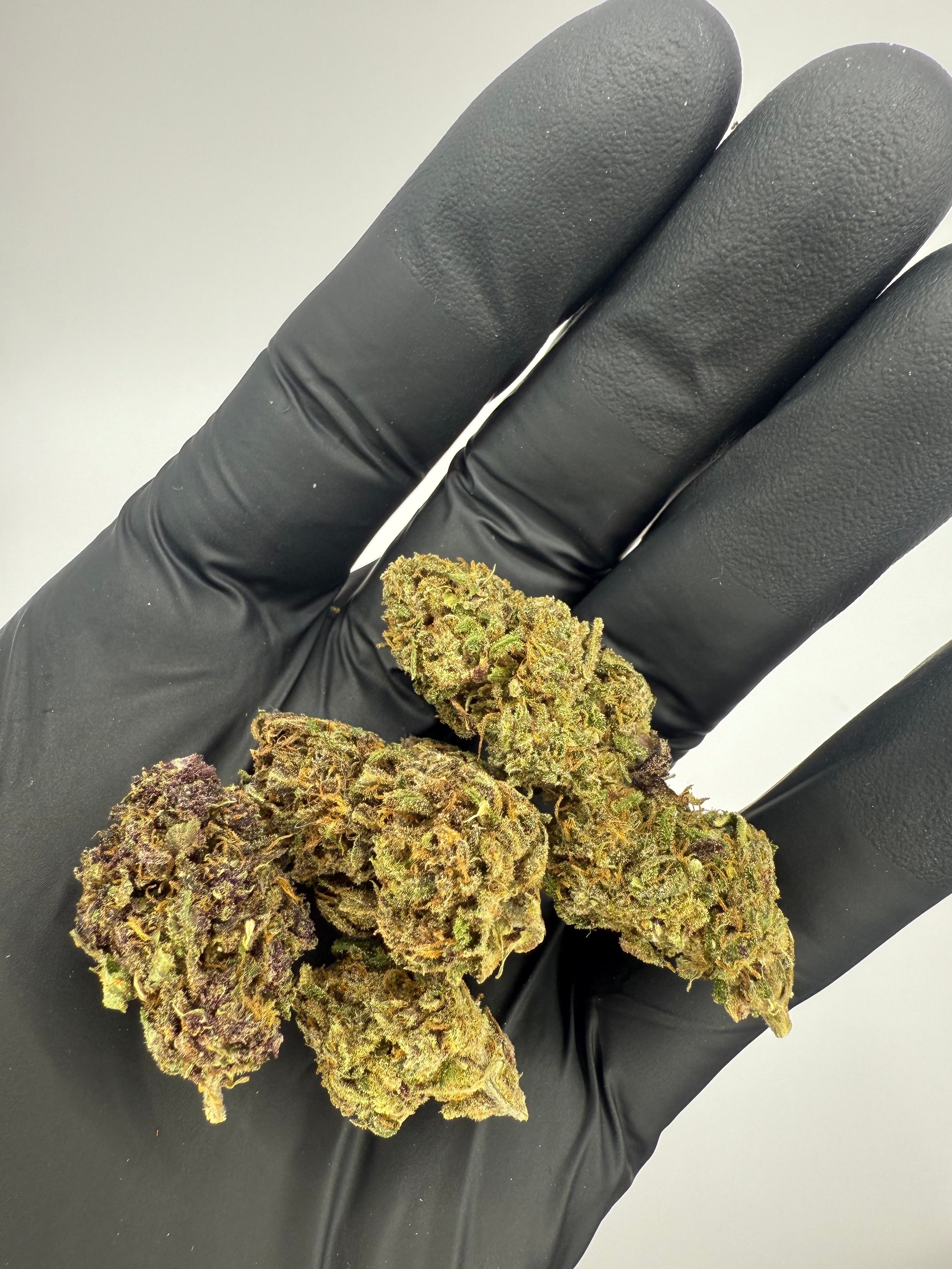 ORANGE FRITTER - OUTDOOR