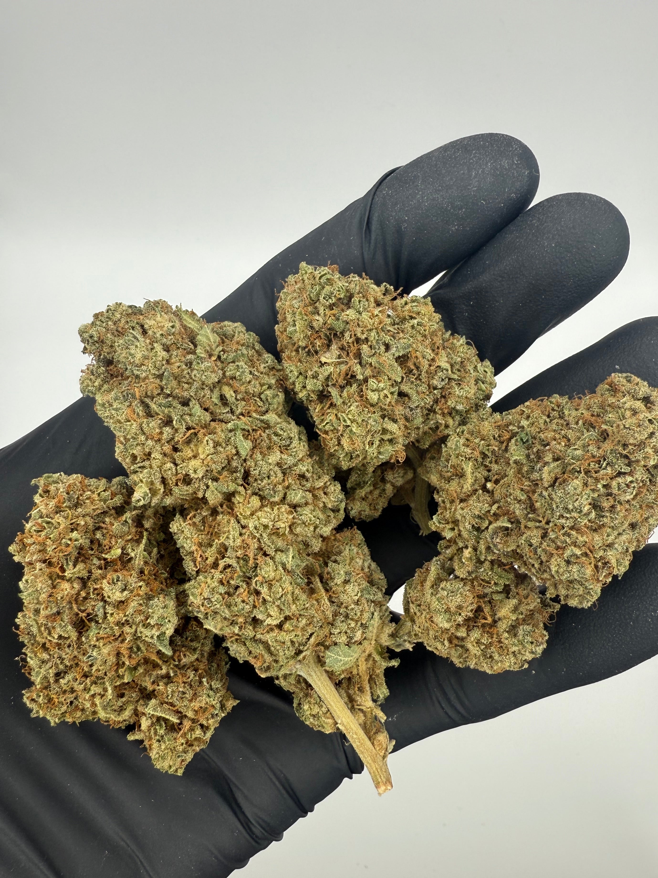 PINEAPPLE LEMONADE - INDOOR