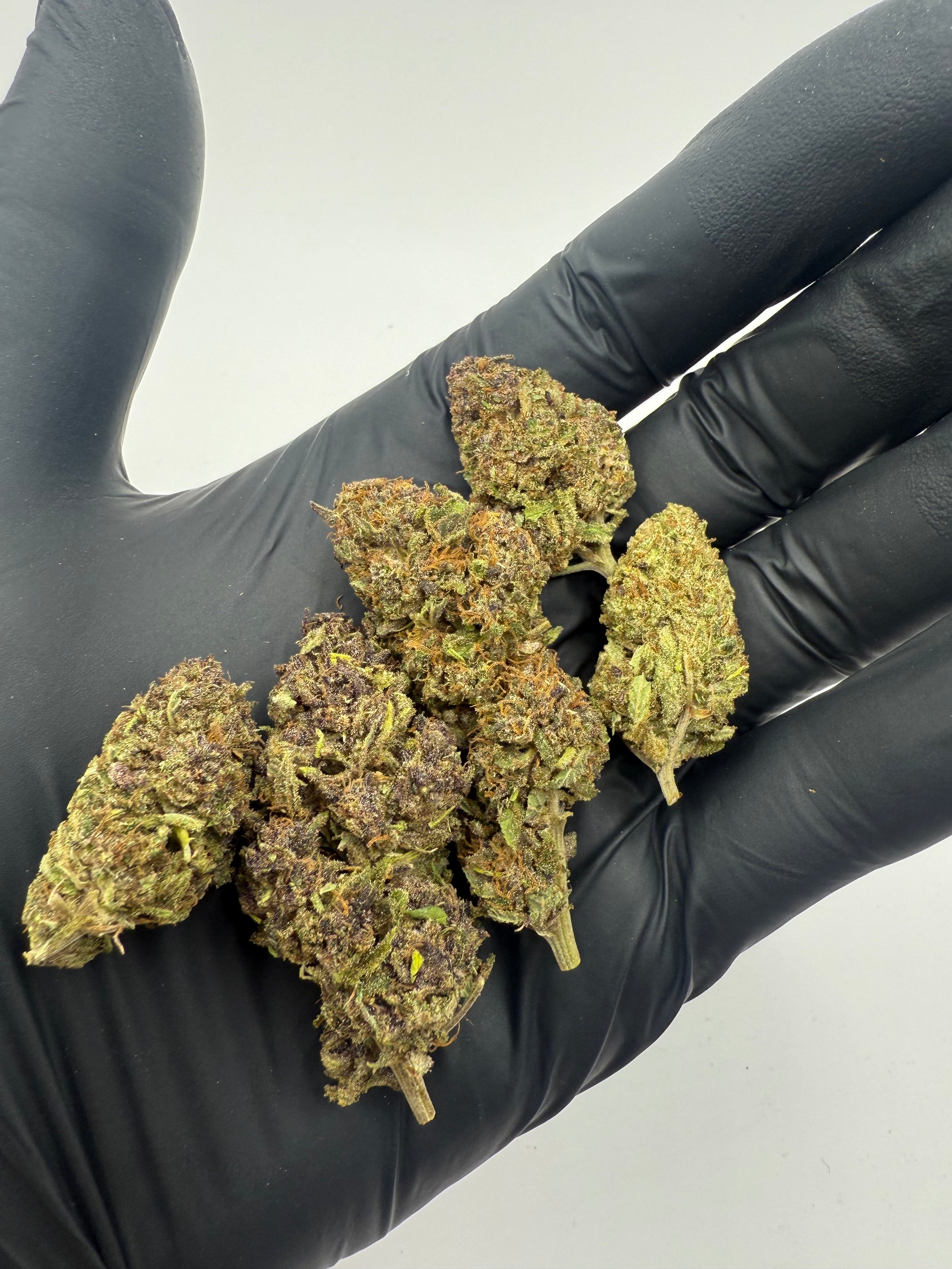 STRAWBERRY DOGNUTS - OUTDOOR