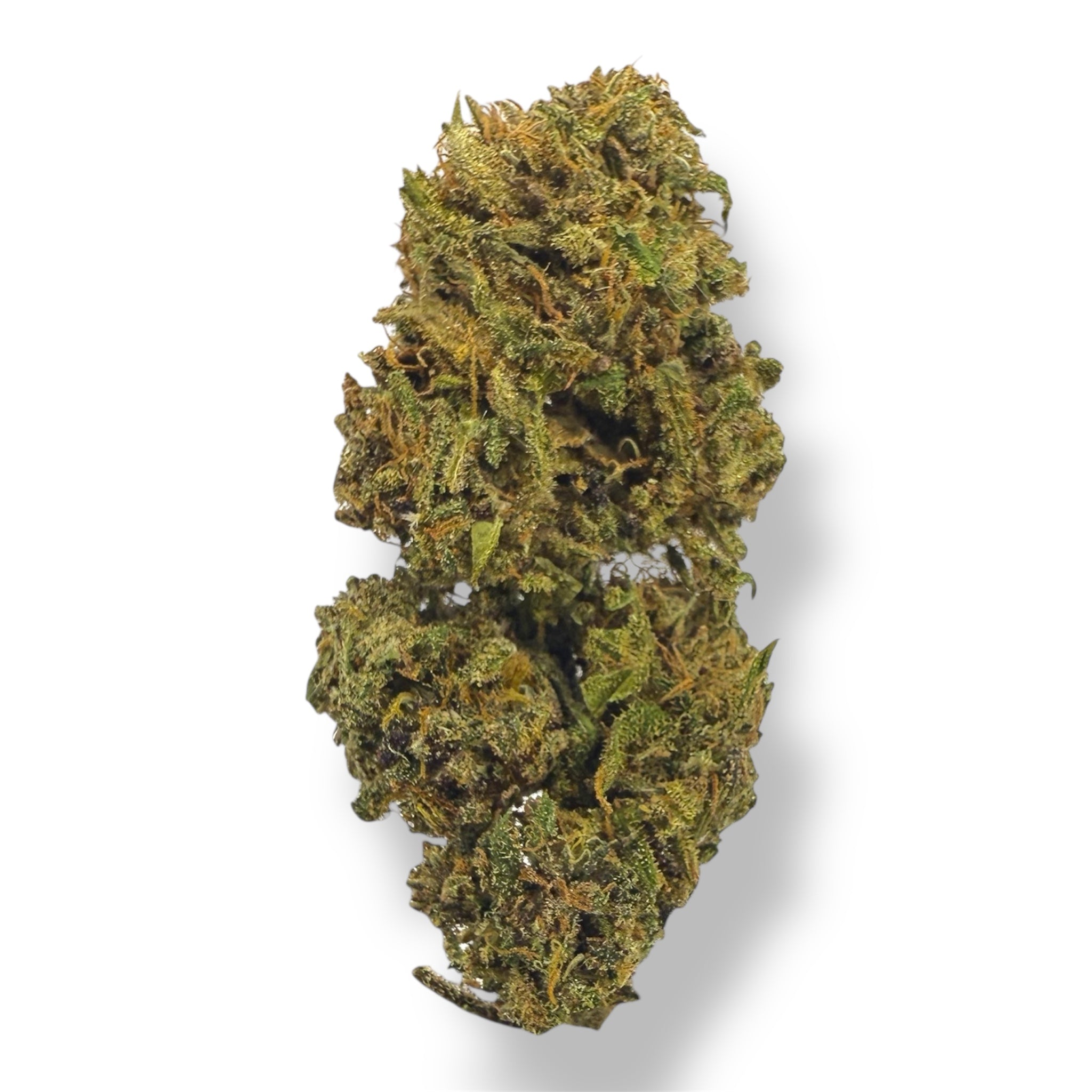 ORANGE FRITTER - OUTDOOR