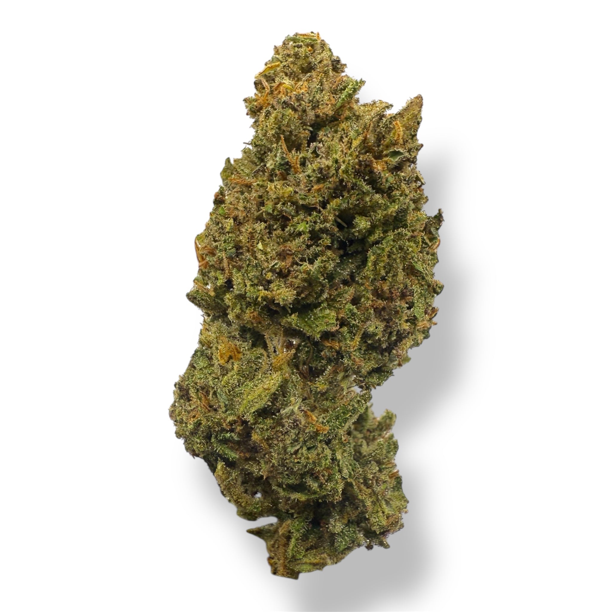 RAINBOW SHERBERT - OUTDOOR