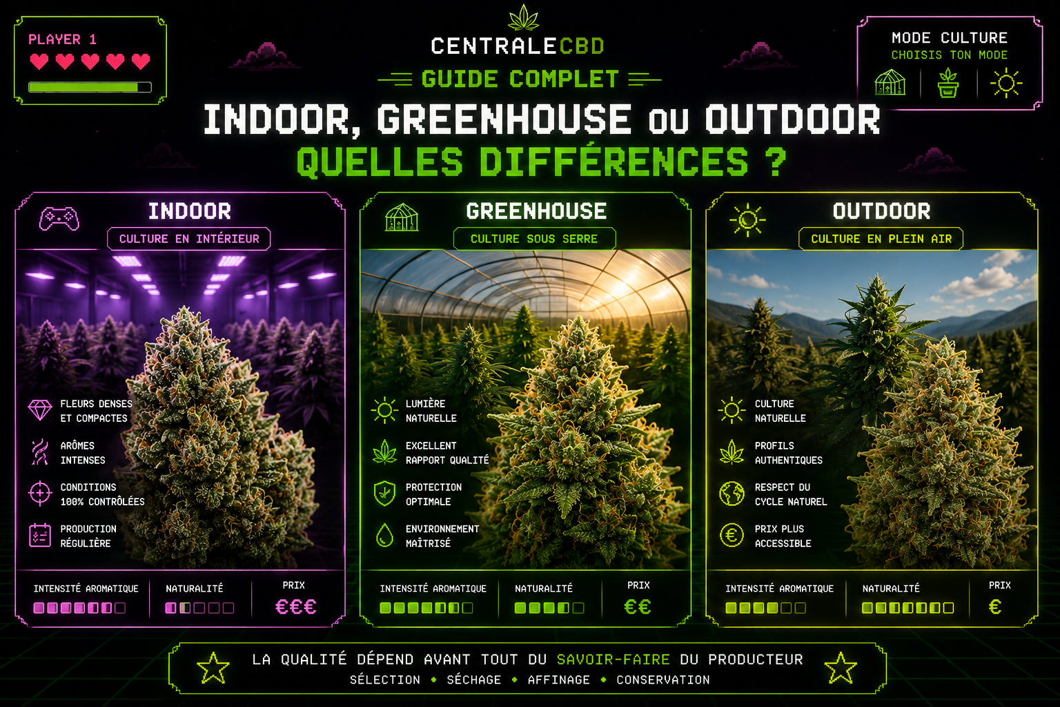Indoor, Greenhouse ou Outdoor : quelles différences entre les fleurs CBD ?