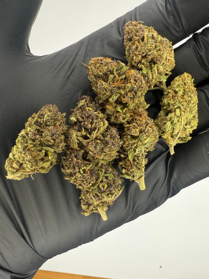 STRAWBERRY DOGNUTS - OUTDOOR