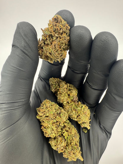 ORANGE FRITTER - OUTDOOR