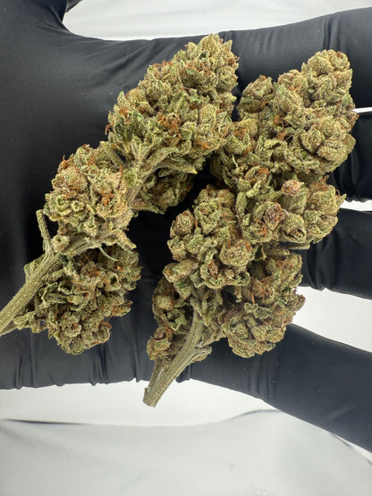 LEGENDARY ZOMBIE KUSH- OUTDOOR