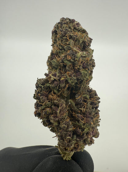 PEACH TART - INDOOR