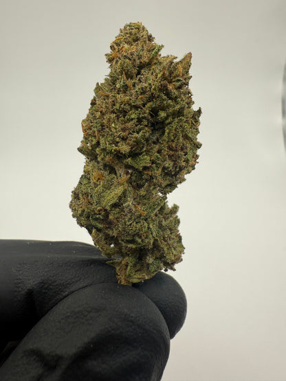 RAINBOW SHERBERT - OUTDOOR