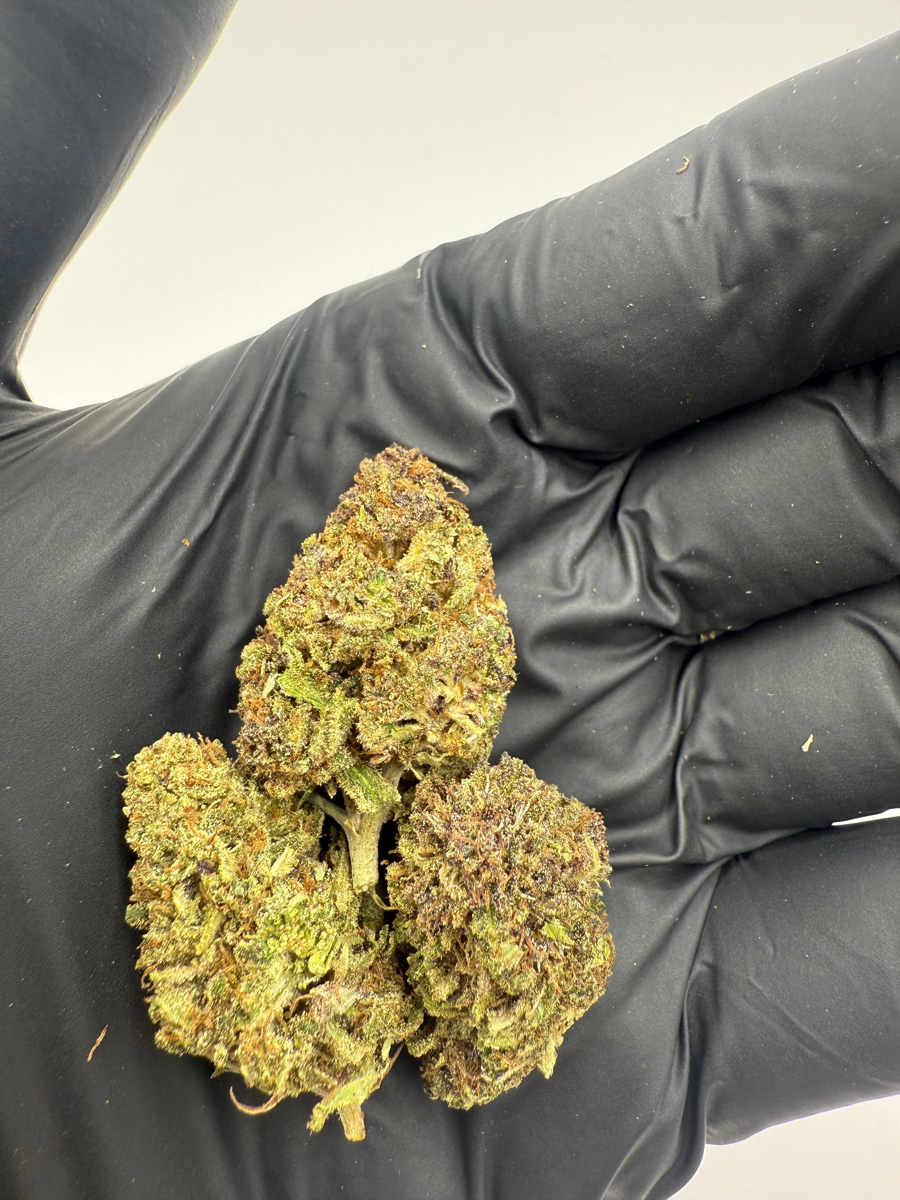 STRAWBERRY DOGNUTS - OUTDOOR