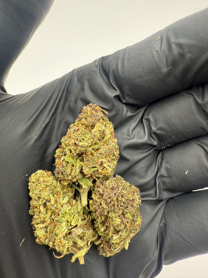 STRAWBERRY DOGNUTS - OUTDOOR