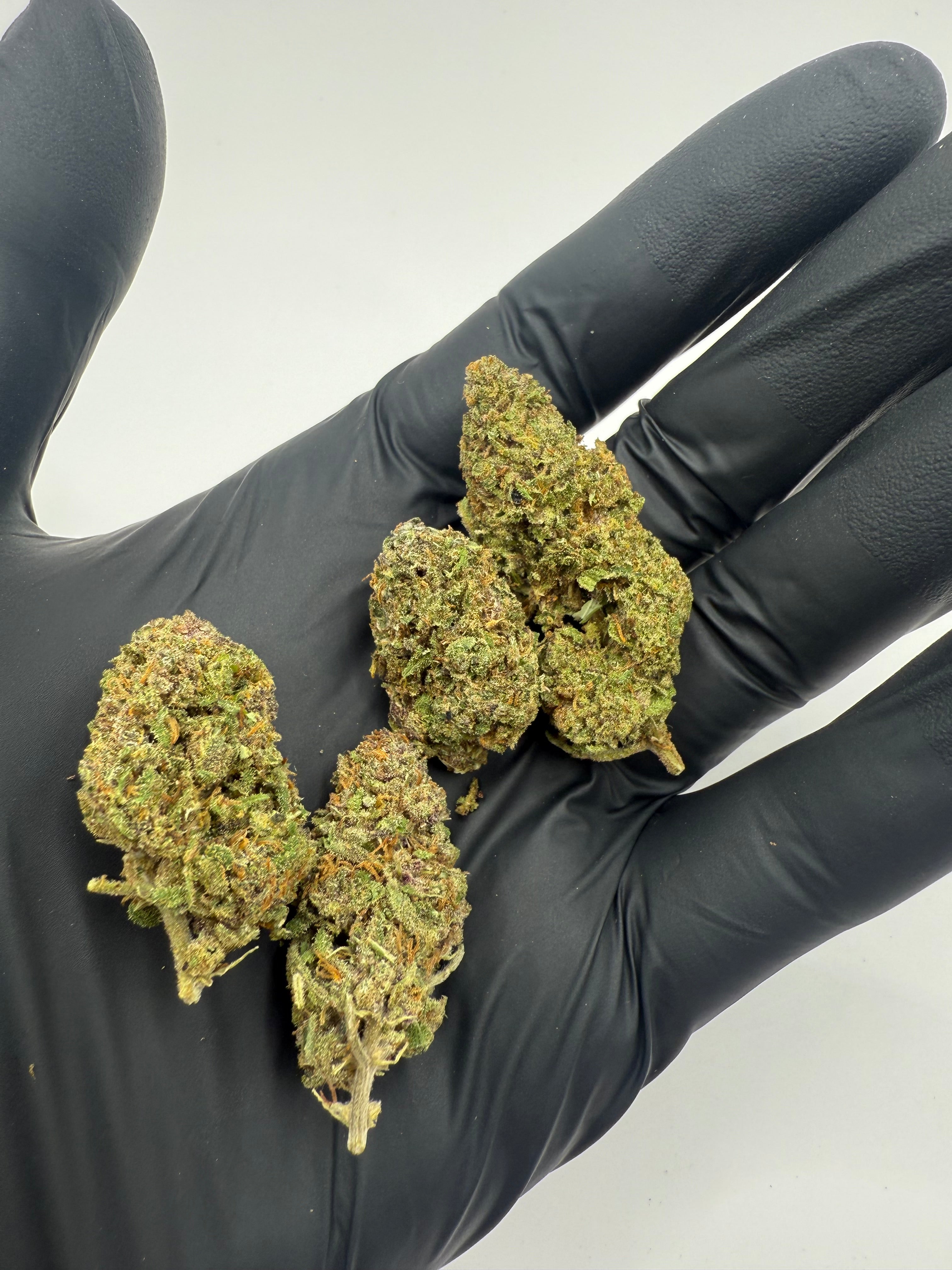 RAINBOW SHERBERT - OUTDOOR