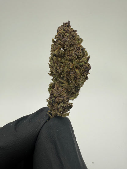 STRAWBERRY DOGNUTS - OUTDOOR