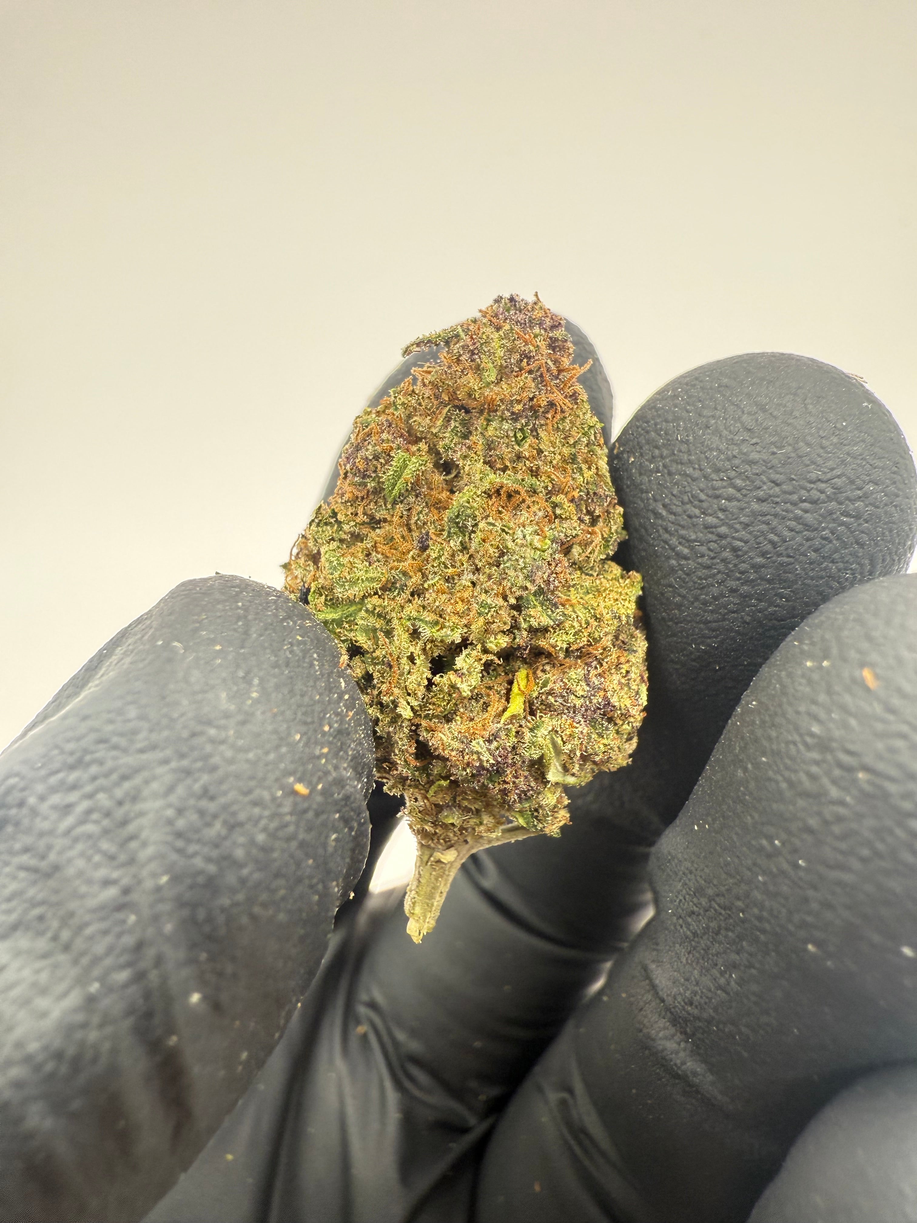 STRAWBERRY DOGNUTS - OUTDOOR