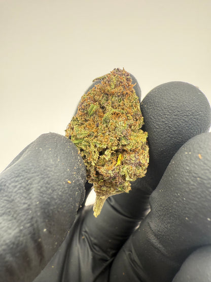 STRAWBERRY DOGNUTS - OUTDOOR