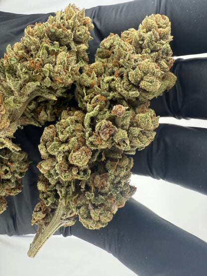 LEGENDARY ZOMBIE KUSH- OUTDOOR