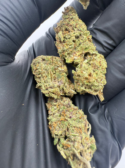 RAINBOW SHERBERT - OUTDOOR