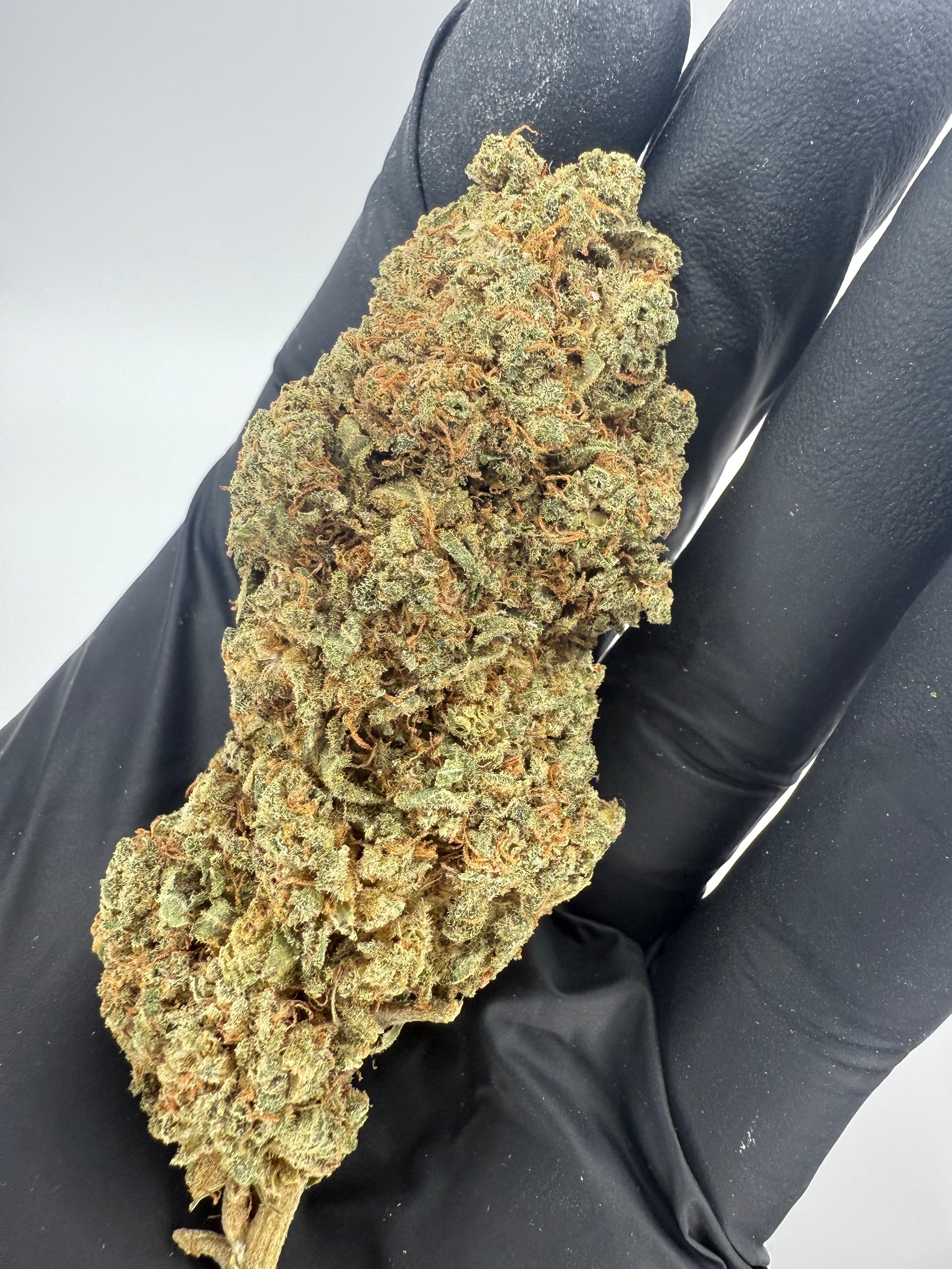 PINEAPPLE LEMONADE - INDOOR