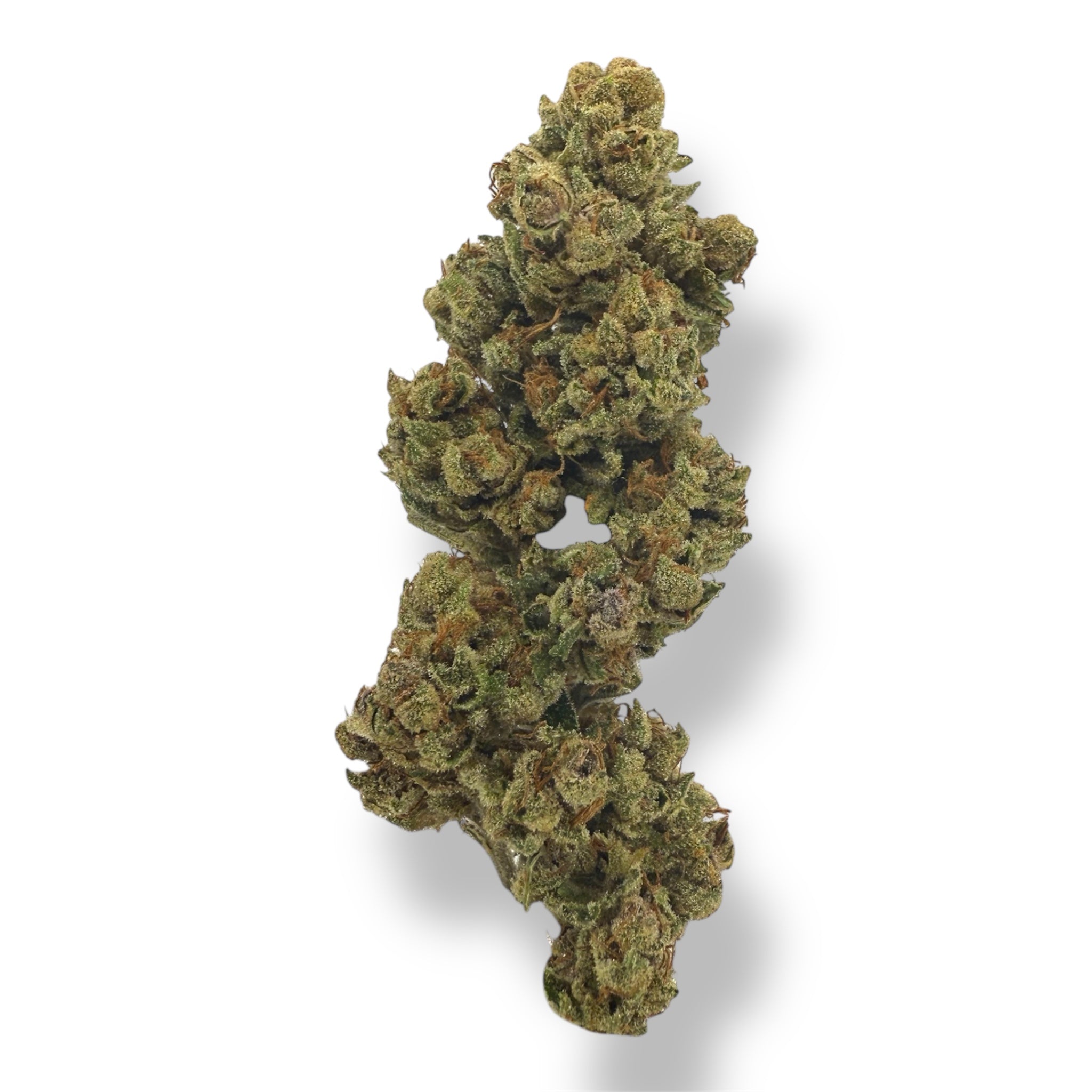 LEGENDARY ZOMBIE KUSH- OUTDOOR