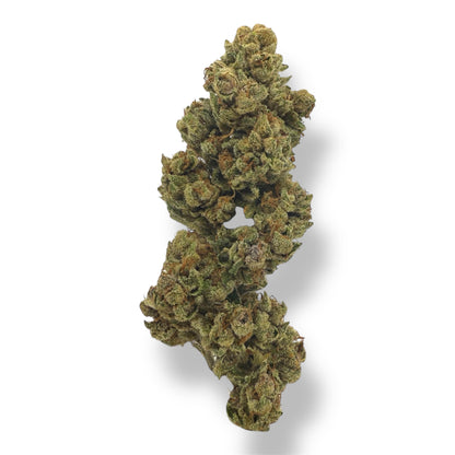 LEGENDARY ZOMBIE KUSH- OUTDOOR