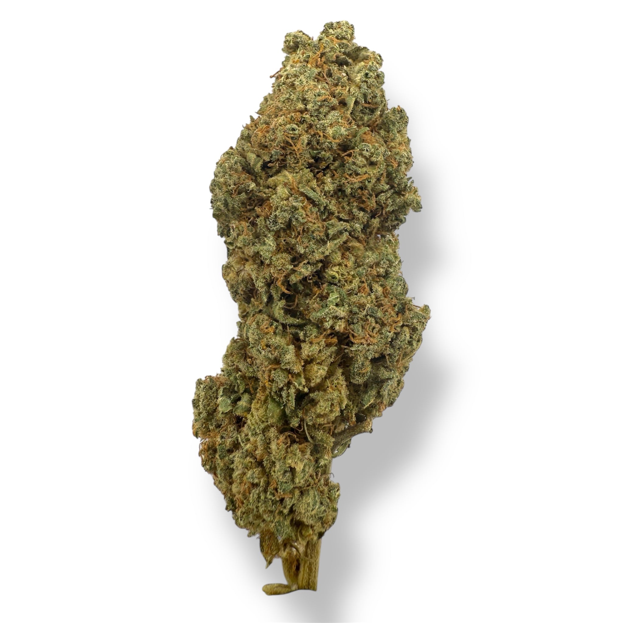 PINEAPPLE LEMONADE - INDOOR