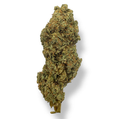 PINEAPPLE LEMONADE - INDOOR