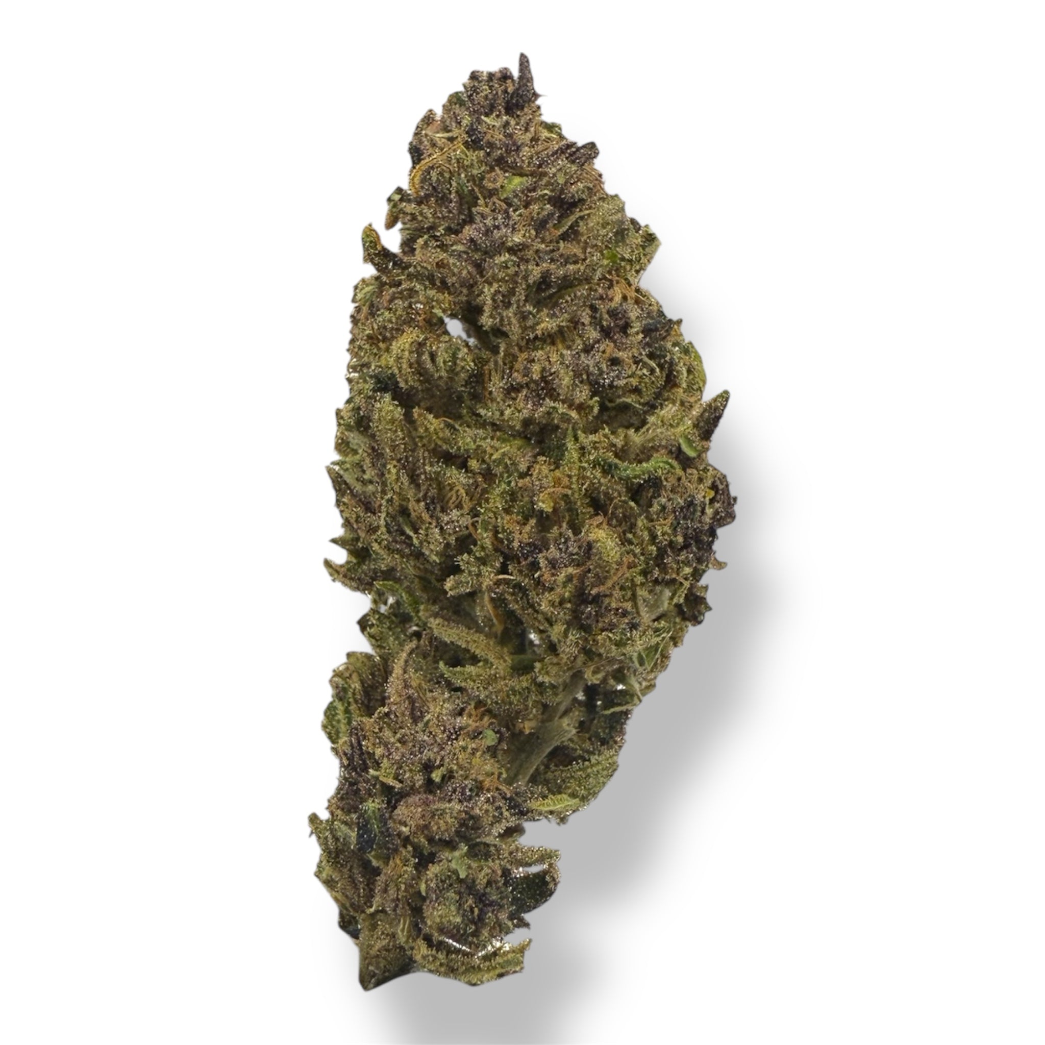 STRAWBERRY DOGNUTS - OUTDOOR